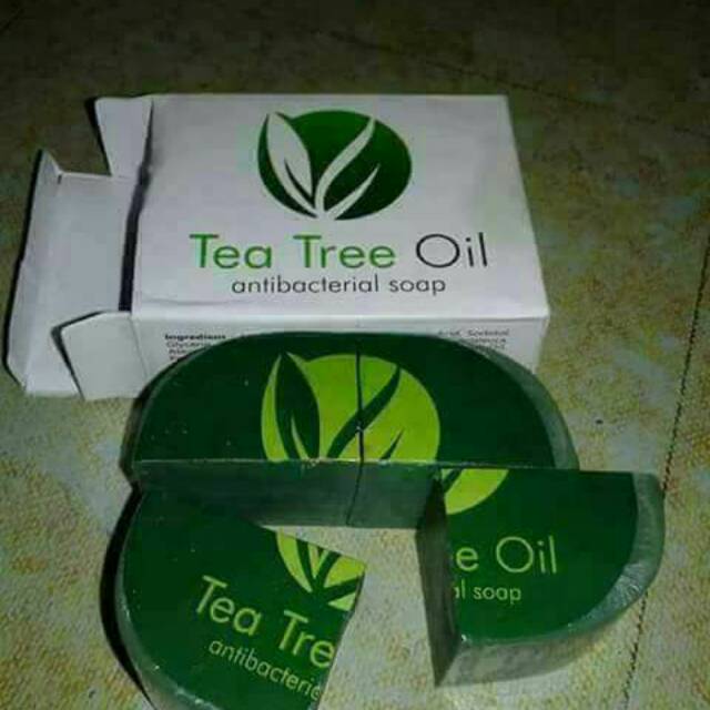 TEA TREE OIL MSI TTO ORIGINAL MURAH