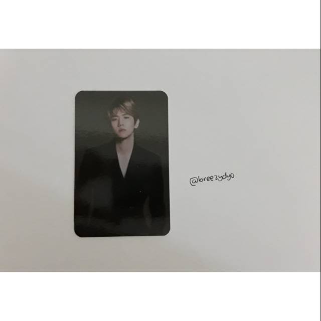Baekhyun Lightstick Photocard LS PC