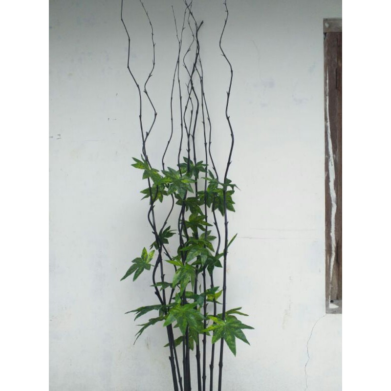 1BAmbu Ulir daun Maple Jari Ijo
