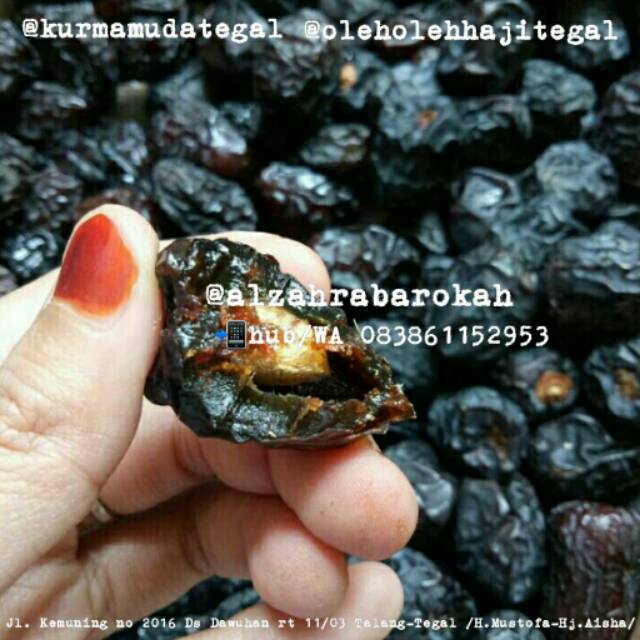

KURMA AJWA