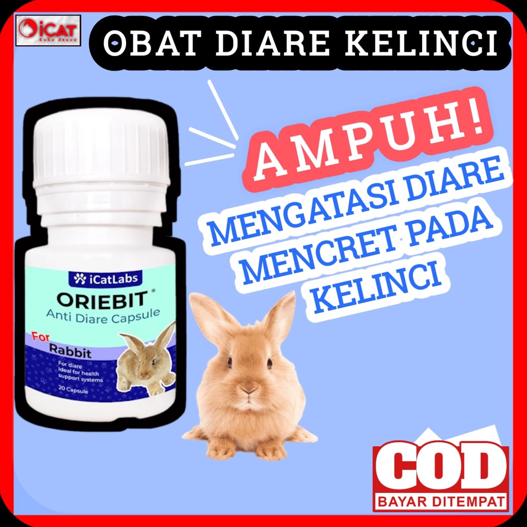 ORIEBIT OBAT DIARE MENCRET KELINCI VITAMIN KELINCI MAKANAN KELINCI