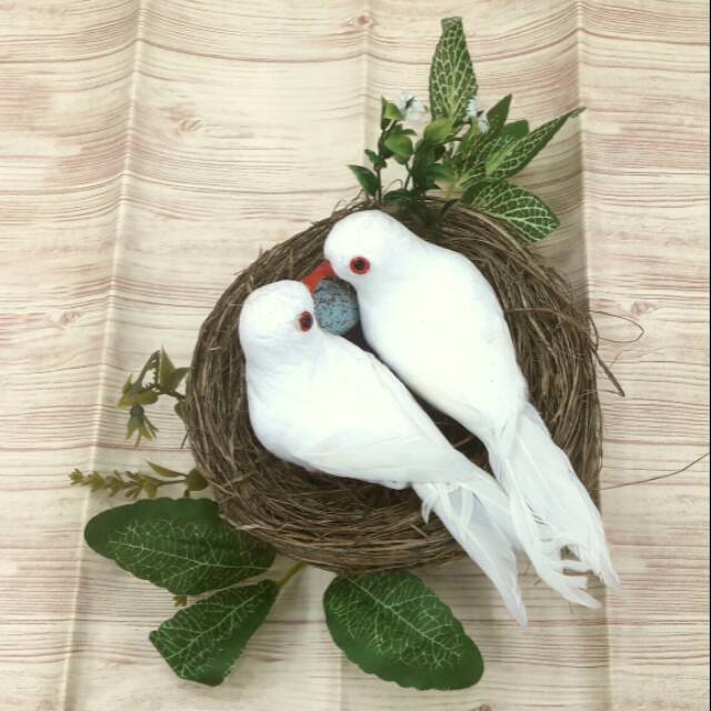 Sarang Burung Merpati