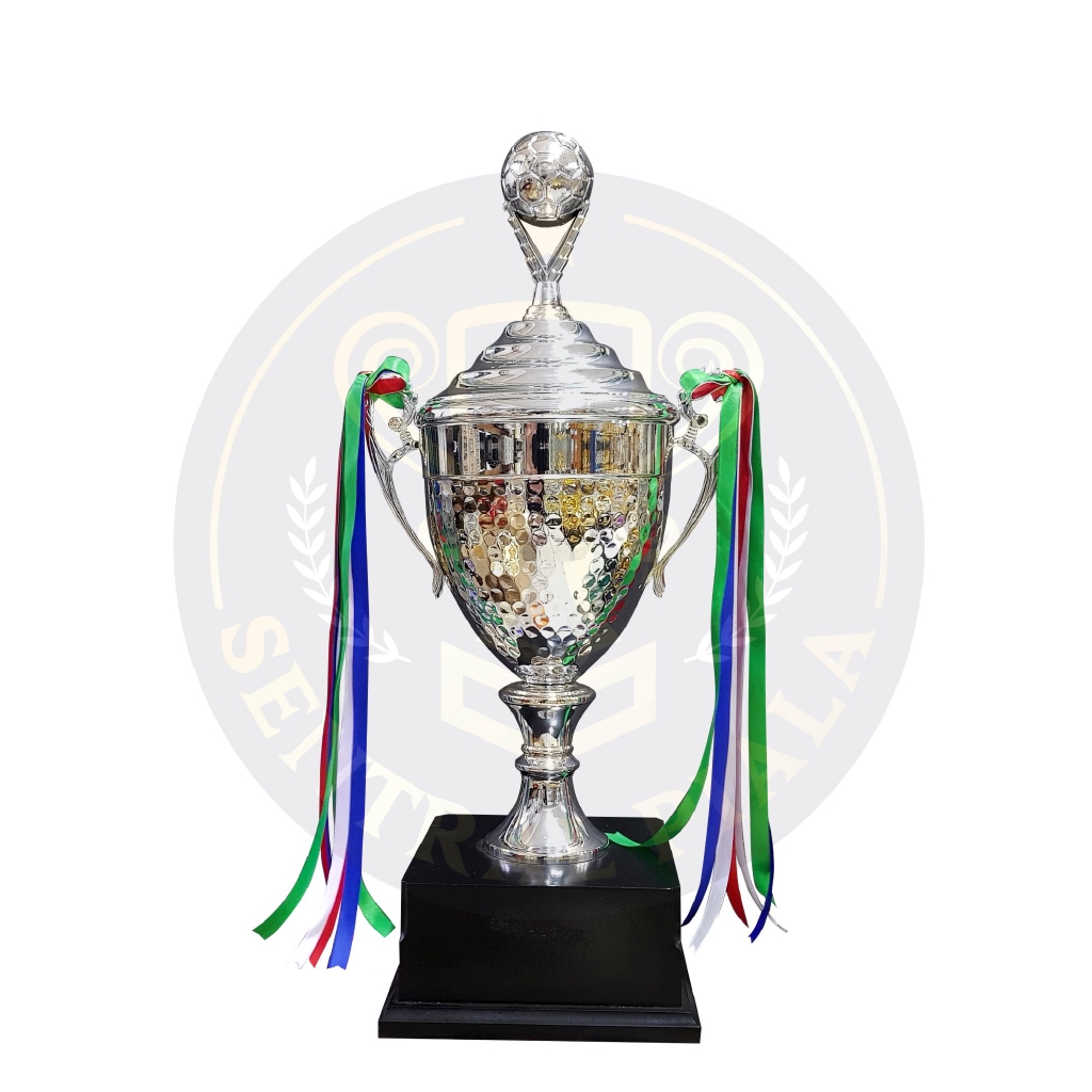 Piala Trophy Import Bergilir Futsal