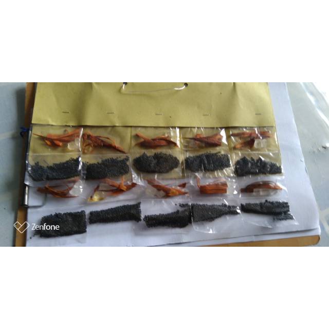 

Biji selasih paket lengkap