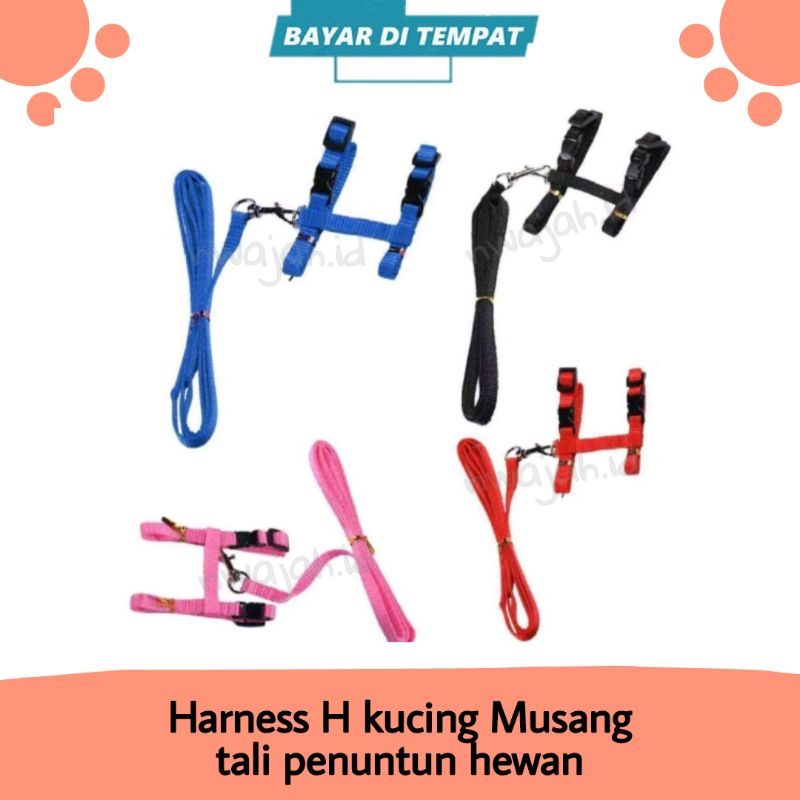 Harness H Kucing Musang Tali Penuntun Hewan