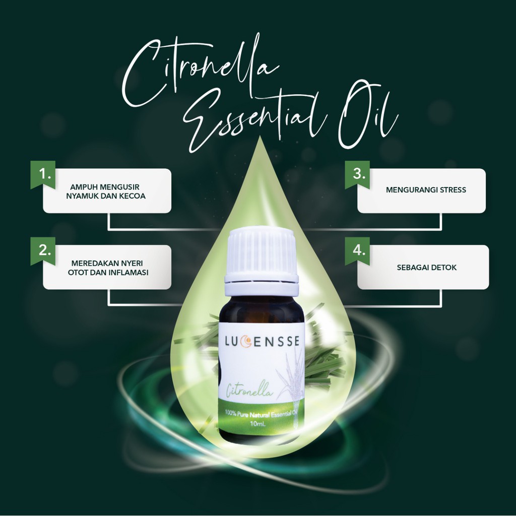 LUCENSSE Citronela Essential Oil Minyak Essensial Atsiri Aroma Terapi EO Diffuser Difuser Humidifier