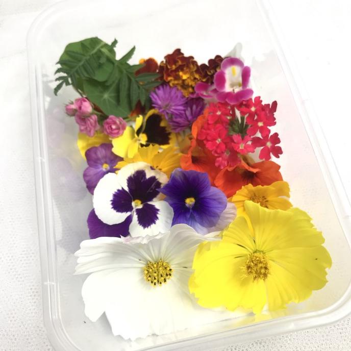 

>>>>>] Edible flower mixed by mich