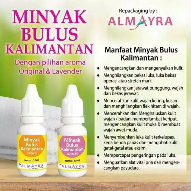 

ALMAYRA MINYAK BULUS KALIMANTAN