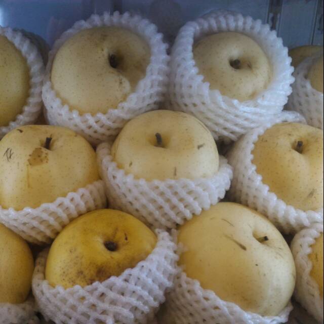 

Buah Pear Century per kg