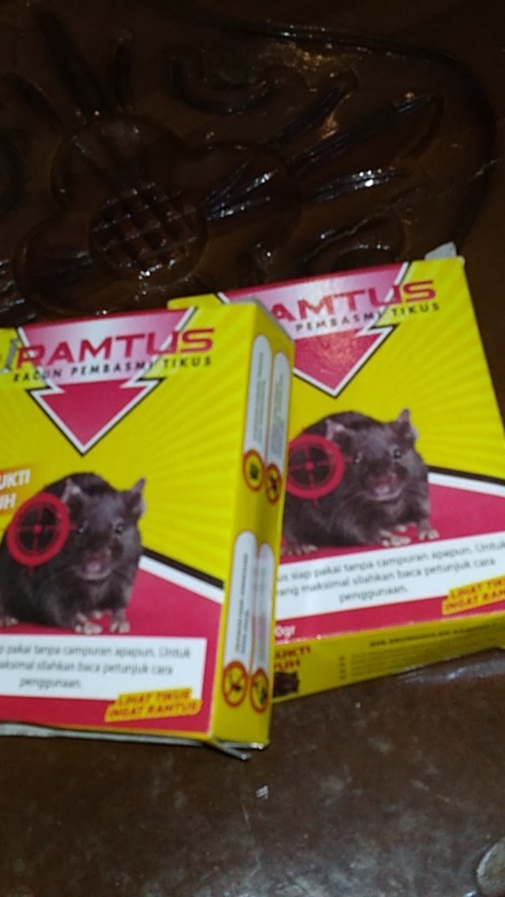 Racun Tikus Ramtus Asli Alami Mati Kering Tidak Bau Pembasmi Pengusir Tikus Super Paling Ampuh 5pack