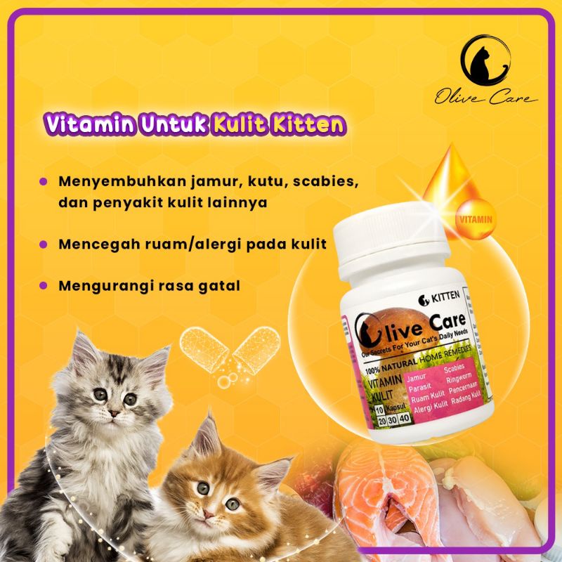 Olive Care Ecer Vitamin Kucing Masalah Kulit Kitten Atasi Bulu Rontok, Basmi Jamur Scabies, Infeksi dan Masalah Kulit Lain