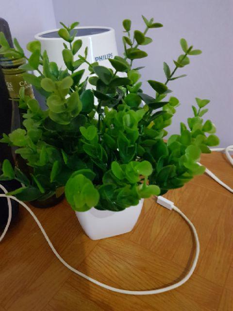 Set Bunga Plastik Ekaliptus Denga Vas Melamin