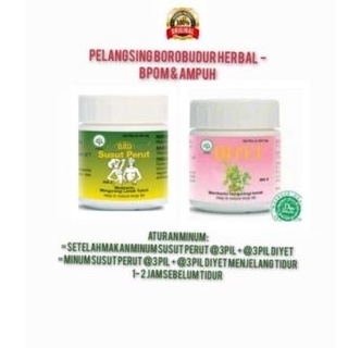 PELANGSING BOROBUDUR HERBAL - BPOM EKSTRAK HERBAL ALAMI