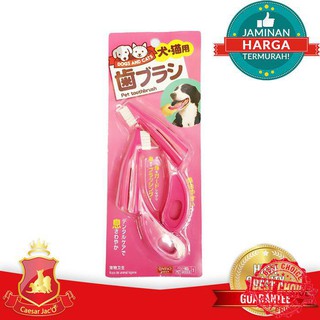 600+ Gambar Gigi Hewan Kelinci HD Terbaru