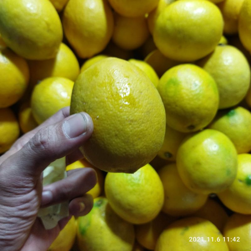 Lemon Segar 1Kg