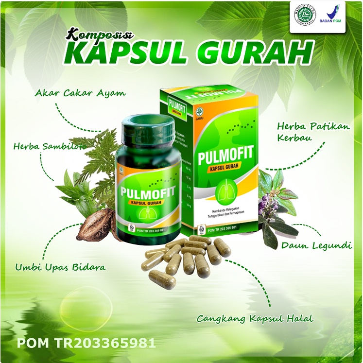 PULMOFIT ORIGINAL Kapsul Gurah Obat Gurah Herbal Obat Sesak Nafas Obat ASMA Obat Sinusitis-1