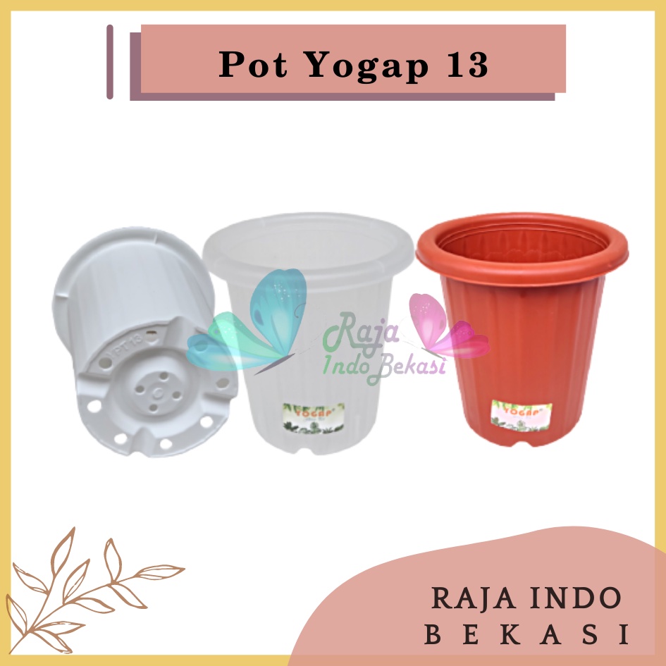 Pot Yogap 13 Putih Bening Transparan Merah Bata Coklat Bata Pot Tinggi Tebal Grosir Pot Yogap 10 13 15 17 18 Murah Pot Coklat Bata Clear