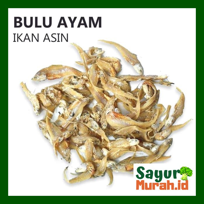 

IKAN ASIN BULU AYAM [100g]