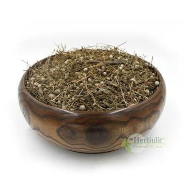 

600 G GR GRAM GU JING CAO PIPEWORT SCAPUS INFLORESCENCE