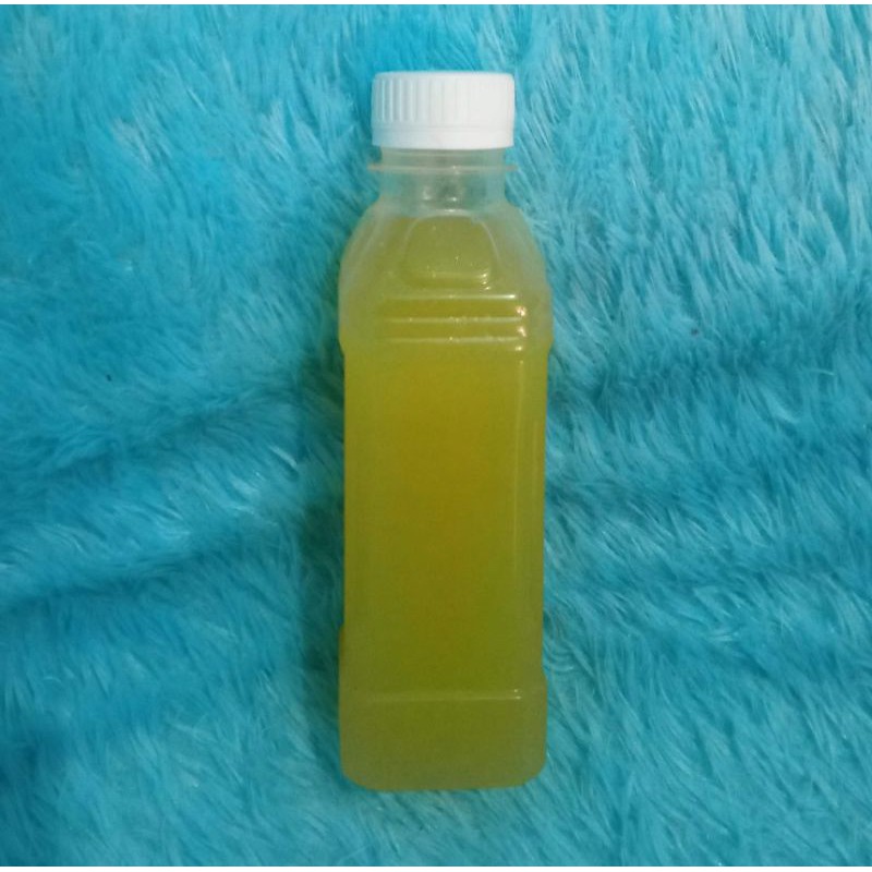 

jeruk baby/jeruk baby peras/ jeruk baby java/ buah jeruk/ buah segar