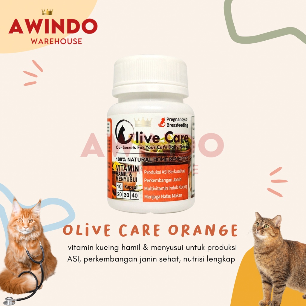 OLIVE CARE ORANGE - Vitamin Kucing Hamil Menyusui Produksi ASI Perkembangan Bayi Multivitamin Induk Kucing