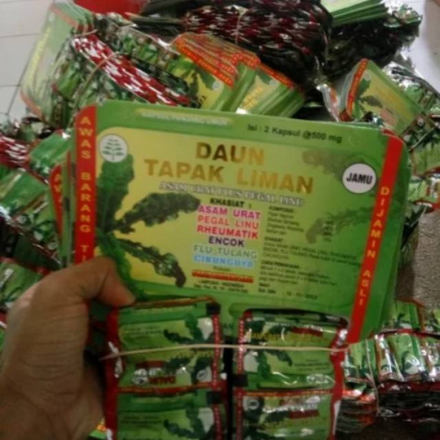 

Daun tapak liman