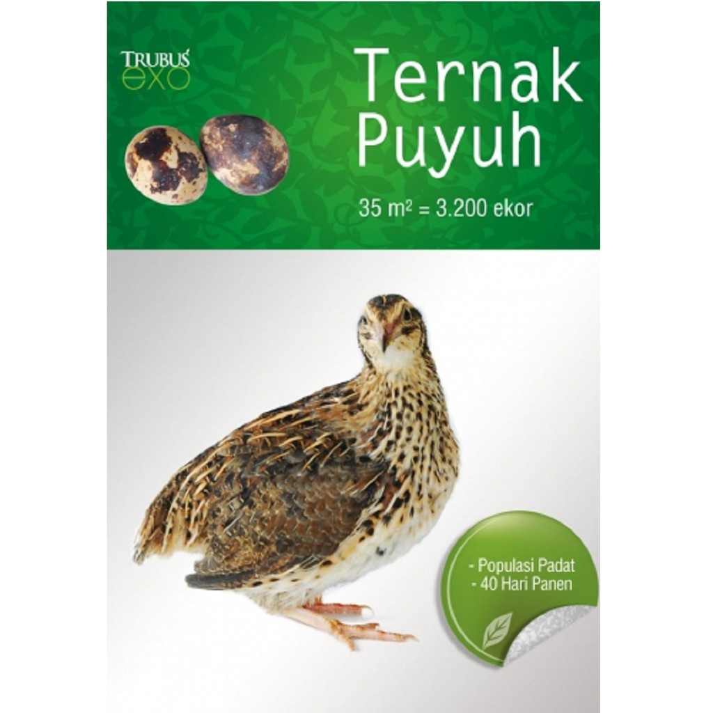 Buku Ternak Puyuh Budidaya Burung Puyuh 40 Hari Panen Untung