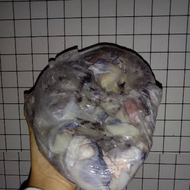 

Sayap Cumi Paket Gosend/Grab