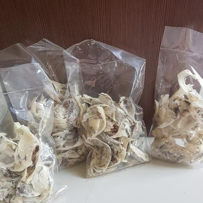 

populer] sarang burung walet bird nest kotor 1 ons