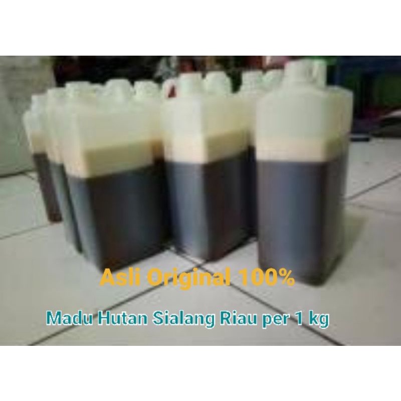

Madu Hutan Sialang Riau 1 kg Asli 100%