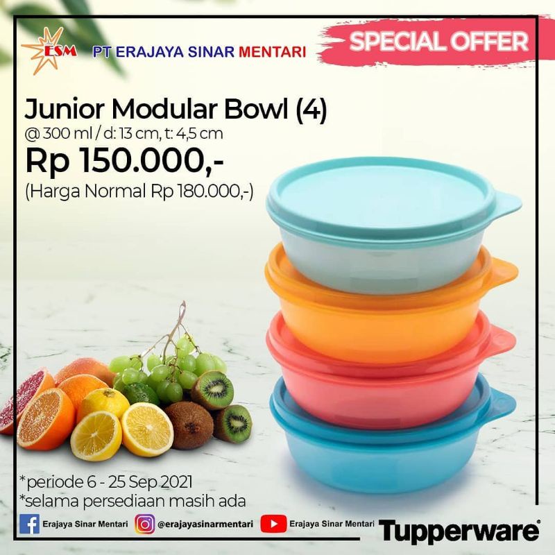 Junior modular bowl set (4)