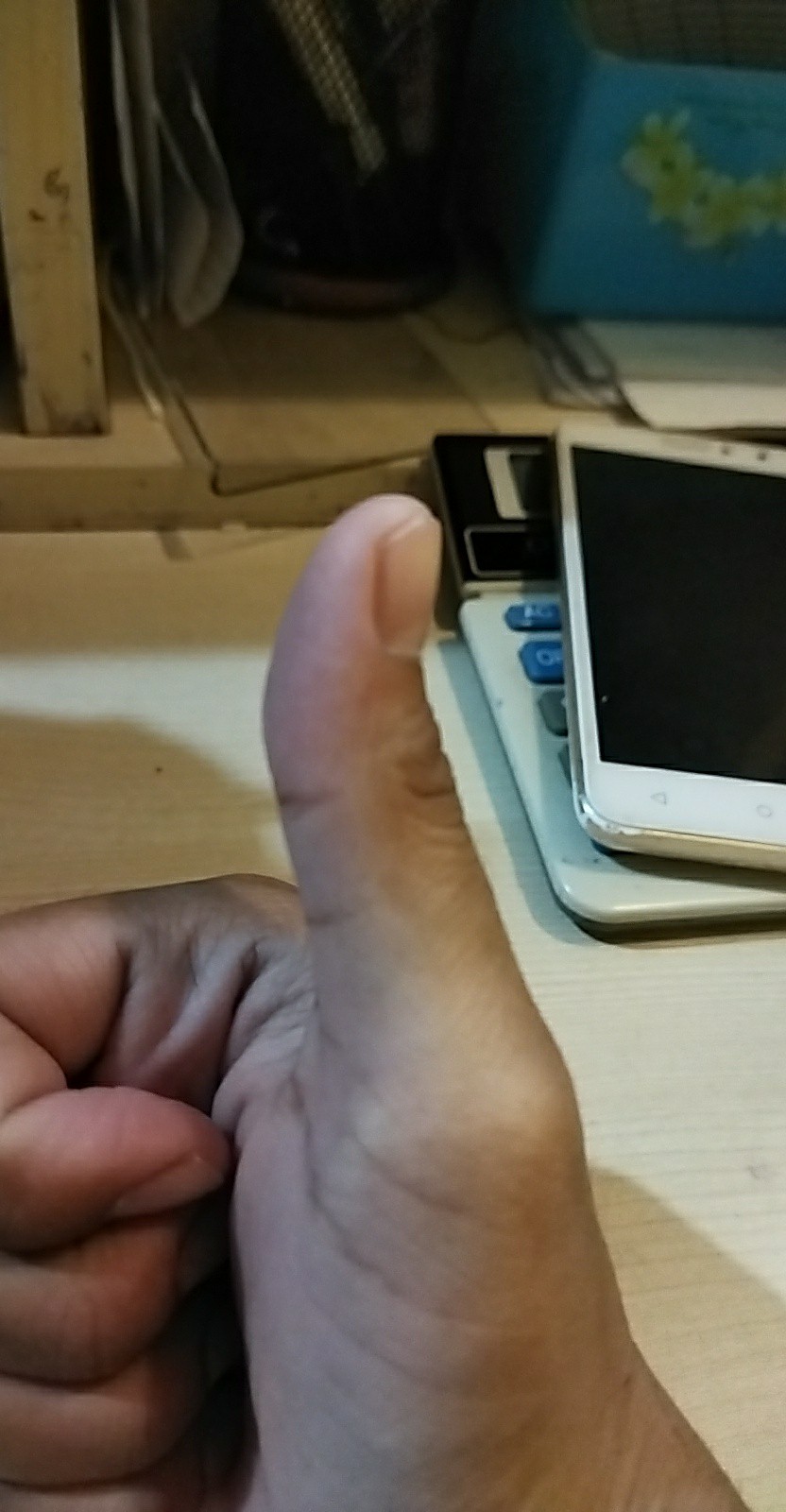 Underpad Le Sure Taplak Kasur Orang Tua Hewan Peliharaan Anti Ompol Pee Pad Under Pad Toilet Train