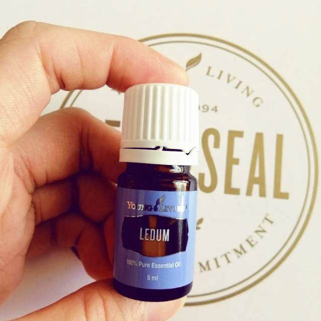 Ledum Essential Oil 5ml