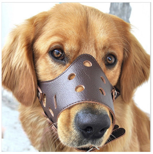 Leather Dog Muzzle Brongsong Masker Anjing no Puppy Leash Harness
