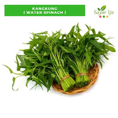 

Kangkung 240 - 250 Gram Per IKAT Fresh Grade A Water Spinach Sayur Hijau Segar