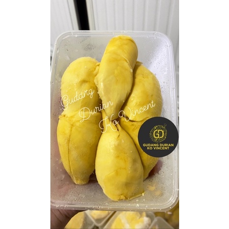 

durian montong sulawesi / durian montong parigi / durian palu - gudang durian ko vincent