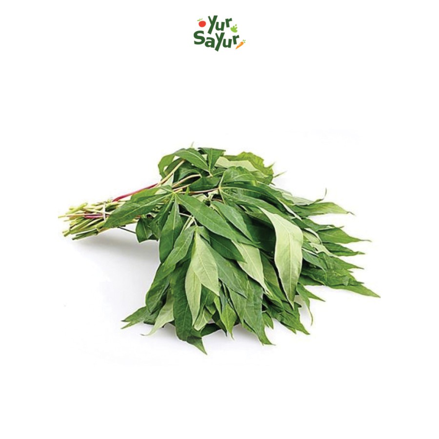 

Daun Singkong || 1 Ikat -+ 200-300gr
