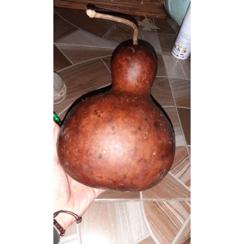 Labu botol tua kering utuh plus biji real picture