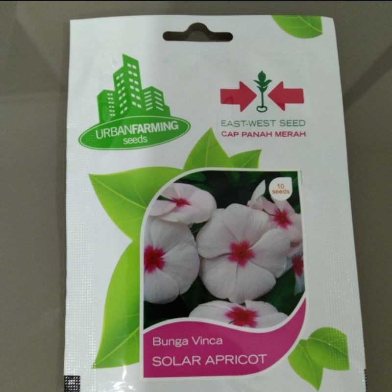 Benih Vinca Bunga Tanaman Hias Gantung Cantik Cap Panah Merah sachet