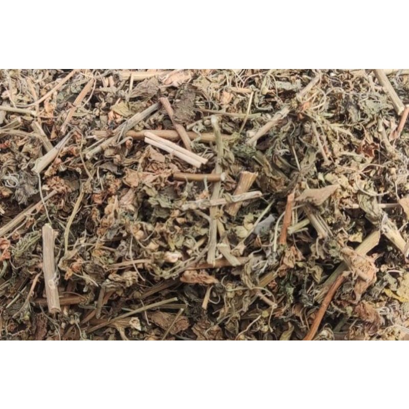 CATNIP 1 KG - Daun Akar CATNIP Makanan Mainan Kucing Catmint Bikin Kucing Fly Obat Stress 1 KG