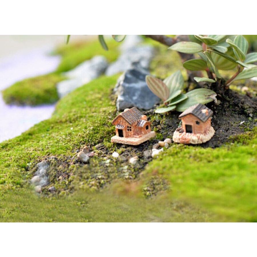 Miniatures - Terrariums - Stone House #01