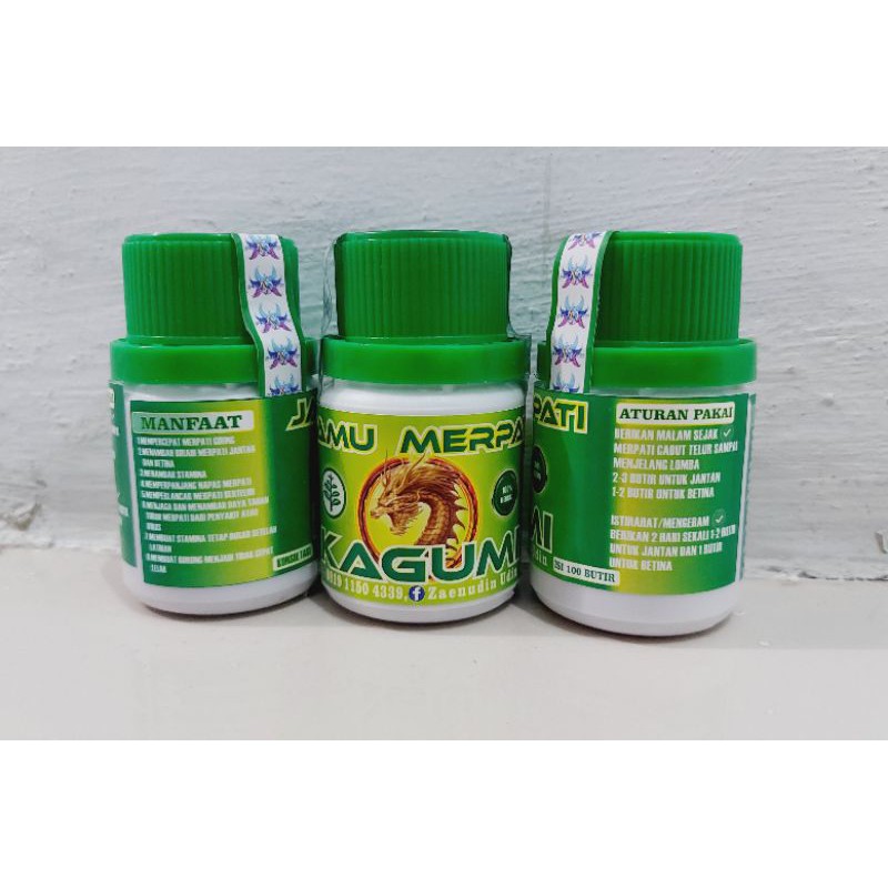 jamu merpati kagumi jamu kagumi untuk merpati bahan latih
