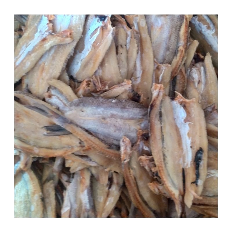 

ikan balur /ikan bele bersih