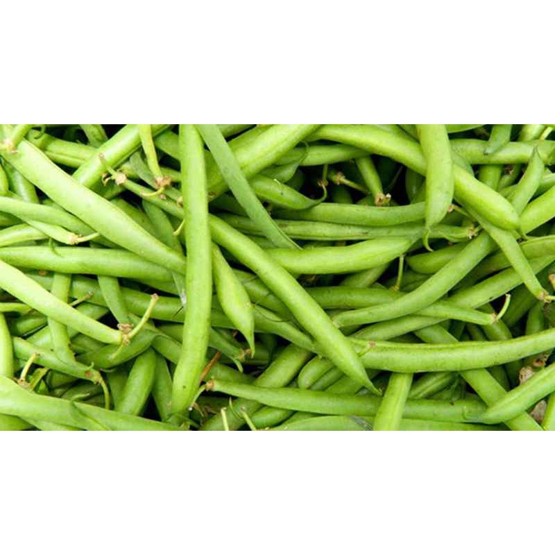 Baby Buncis (Baby Bean) 250gr