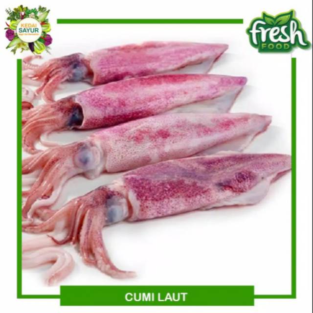 

Ikan Cumi Basah Fresh BOGOR 250 gram