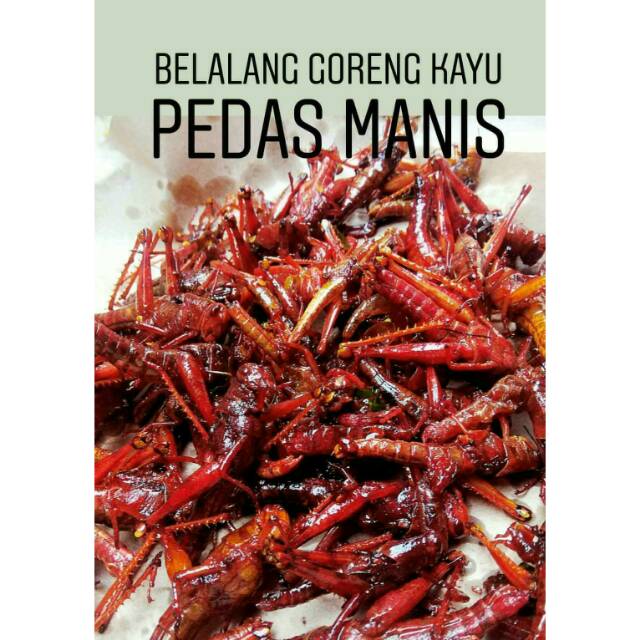 

Belalang goreng pedas manis