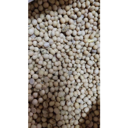 

Kedelai Kering - 250 gr