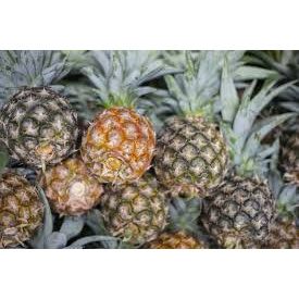 

Buah Nanas lokal per buah