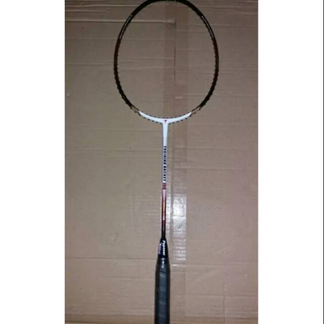 Raket Flypower training 150-solusi menambah power/smash