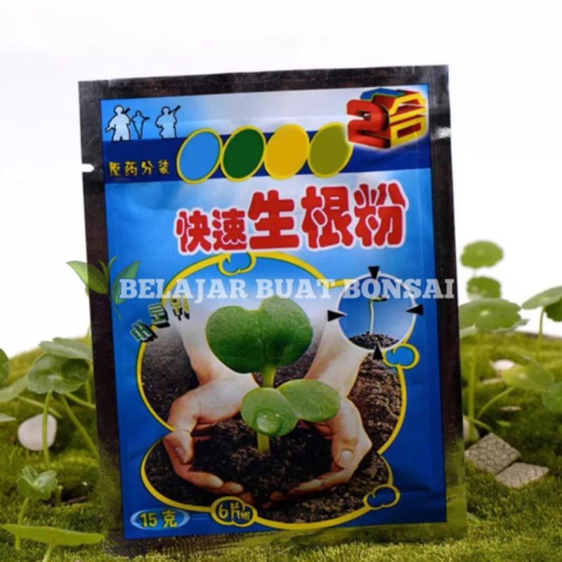 Root Powder Extra Import ZPT Perakaran 5 Gram